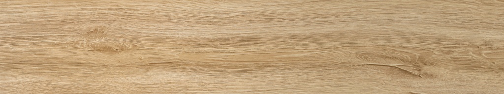 118-10.jpg 118-10.jpg
